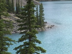 Los fundamentos de la ecología: ecosistema Instructional Video