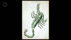 Naked Eye Observations Instructional Video