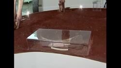 Museum staff pay tribute with tattoos Instructional Video