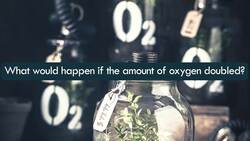 What Would Happen If The Amount Of Oxygen On Earth Doubled? Instructional Video