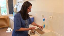 The Geological Tapestry of Provence: From Dinosaurs to Today Instructional Video