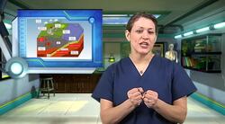 The Rock Cycle Instructional Video