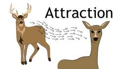 Animal Communication Instructional Video