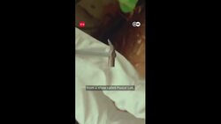 Breaking Boundaries: Abhishek Banerjee's Scenes That Left Audiences Speechless News Clip