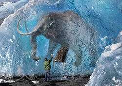 The Great Global Warming Debate: Part 2 Instructional Video