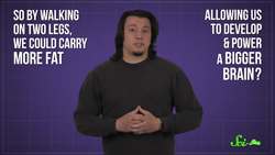 Why Do Humans Have Butts? Instructional Video