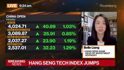 Hang Seng Bank Belle Liang on China, H.K. Strategy News Clip