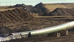 How Alberta could stand to benefit from a Biden presidency News Clip