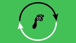 Uses Of Polymers Instructional Video