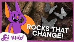 How Metamorphic Rocks Are Like Butterflies | SciShow Kids Instructional Video