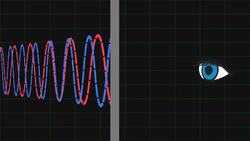 How Does it Work? - Thermal Camera Instructional Video