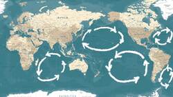 The Ocean's Plastic Plague: Causes, Consequences, and Solutions Instructional Video