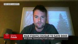 Interview: Progress report on man and dog attacked by cougar News Clip