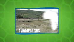 Huge Horns, From Africa! What Amazing Animal is This? Instructional Video