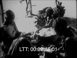 Stark Nature African Tribes, 1920s Stock Footage