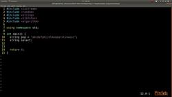 C++ Standard Template Library in Practice - Sampling Instructional Video