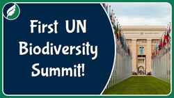 The First United Nations Summit on Biodiversity Instructional Video