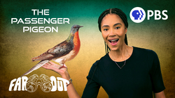 Why Scientists Want to Resurrect Extinct Species Instructional Video