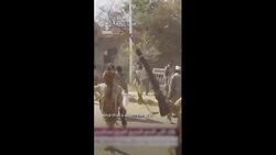 Reports of atrocities as RSF captures Darfur News Clip