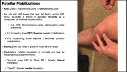 Patellar Mobilizations | Theory, Technique, & Demonstrations Instructional Video