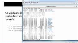 Complete Linux Training Course to Get Your Dream IT Job - WildCards (*, ?, ^, []) Instructional Video