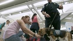 Behind the scenes at JFK, protecting agriculture with customs Instructional Video