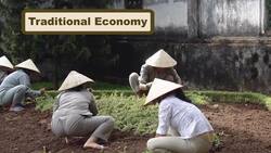 Types of Economic Systems Instructional Video