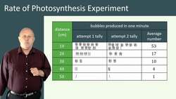 Rate of Photosynthesis Experiments: Analyzing the Relationship between Light Intensity and Photosynthesis Instructional Video