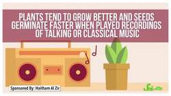 Should You Talk to Your Plants to Help Them Grow? Instructional Video