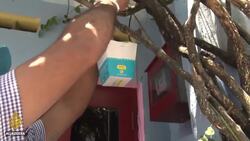 Sri Lanka dengue: Authorities tackle spike in cases News Clip