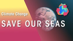 Ocean Sustainability| Safeguarding our Seas | Plastic Free Instructional Video
