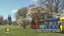 Germany: Cologne parks come alive with spring flowers News Clip