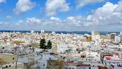 Pan: Buildings and Port Stock Footage