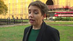 Conservative Party 'not fit to govern', says Greens co-leader News Clip
