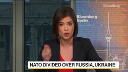NATO Divided Over Russia, Ukraine News Clip