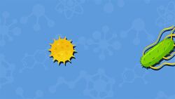 I WONDER - How Big Are Viruses? Me Pregunto - Qué Tan Grandes Son Los Virus? Instructional Video