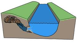 ¿Por Qué Se Curvan Los Ríos? Instructional Video