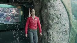 Do You Ever Wonder Why Coral Reef Fish Are So Colorful? Instructional Video