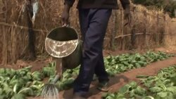 SURVIVOR'S GUIDE - We Are What We Eat Instructional Video