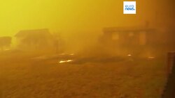 Portugal asks EU for assistance as wildfire reaches residential area News Clip