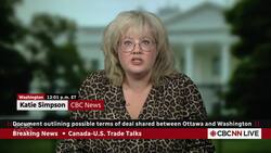 U.S., Canada exchange document outlining possible terms of trade deal: sources News Clip