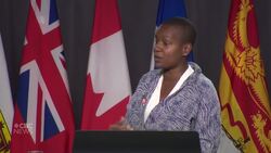 'These are patchwork solutions' - Green Party Leader, Annamie Paul News Clip