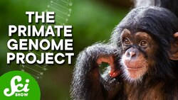 The OTHER Genome Project That’s Transforming Medicine Instructional Video