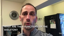 5 a day gcse pe revision Vol 9-The Skeleton Instructional Video