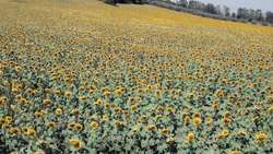 How to Measure the Speed of Wind Instructional Video