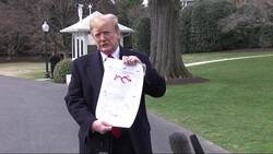 Trump on Mueller report, imminent IS defeat Instructional Video