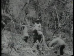 US troops set up camp and defense positions. US artillery brings down Japanese bombers. Guadalcanal, 1942 Stock Footage