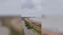 Amazon delivery van gets stuck on 'deadliest footpath in Britain' Instructional Video