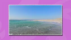 I WONDER - What Causes Tides? Instructional Video