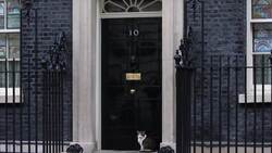 Larry the cat anticipates arrival of Number 10's newest member News Clip
